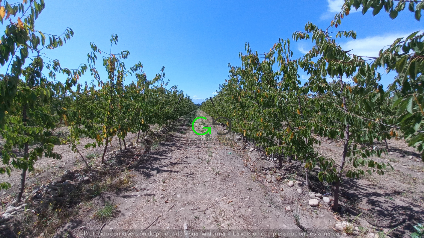 Romeral (4 Ha)