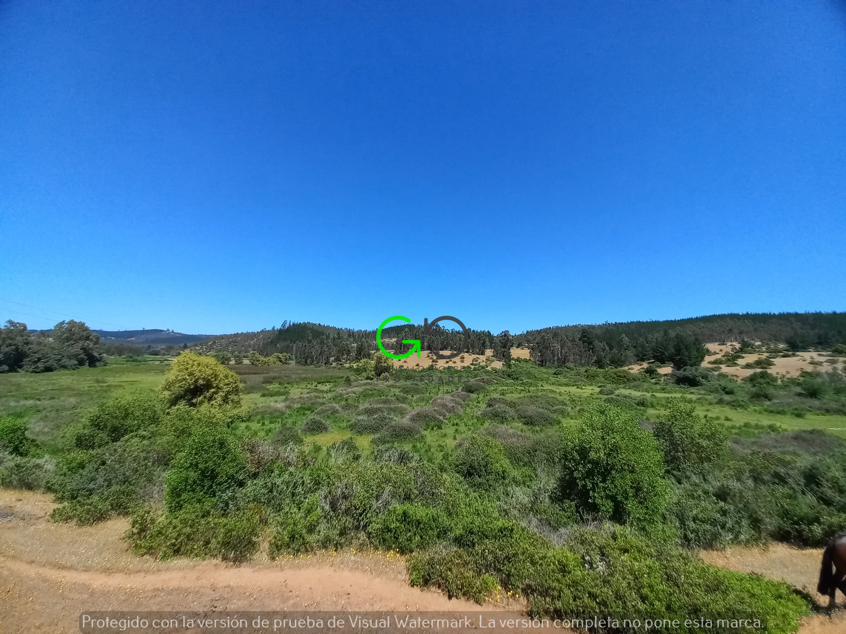 Campo Paredones (45 Há)
