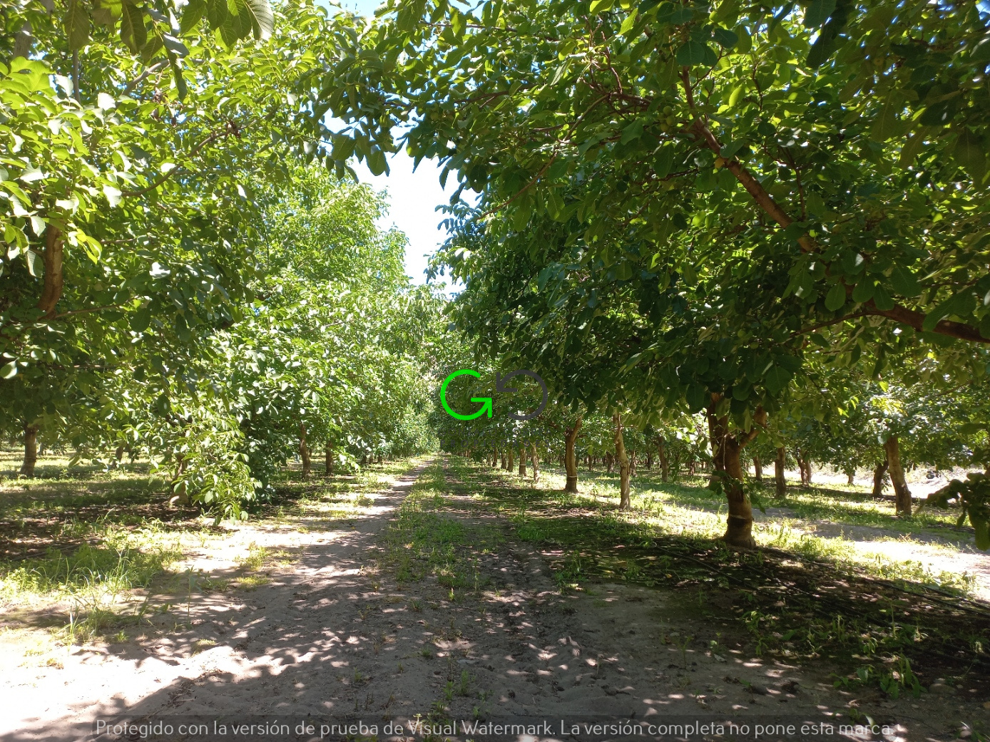 Campo la Huerta (55 há)