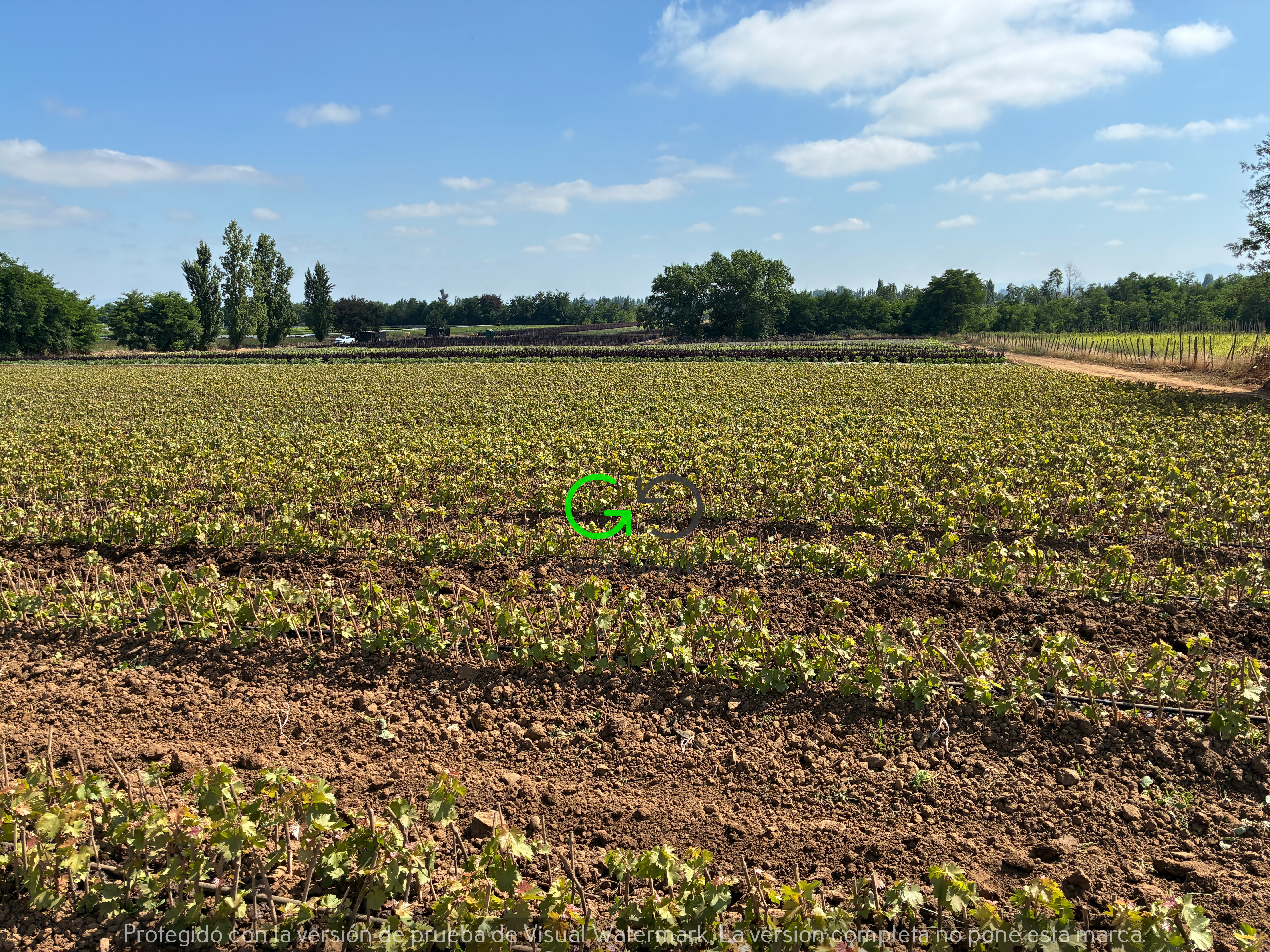 Campo Rio Claro (25 Há)