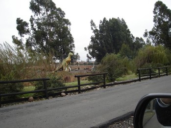 Altos de Zapallar