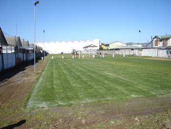 Av. Rauquen (4.500 m2)
