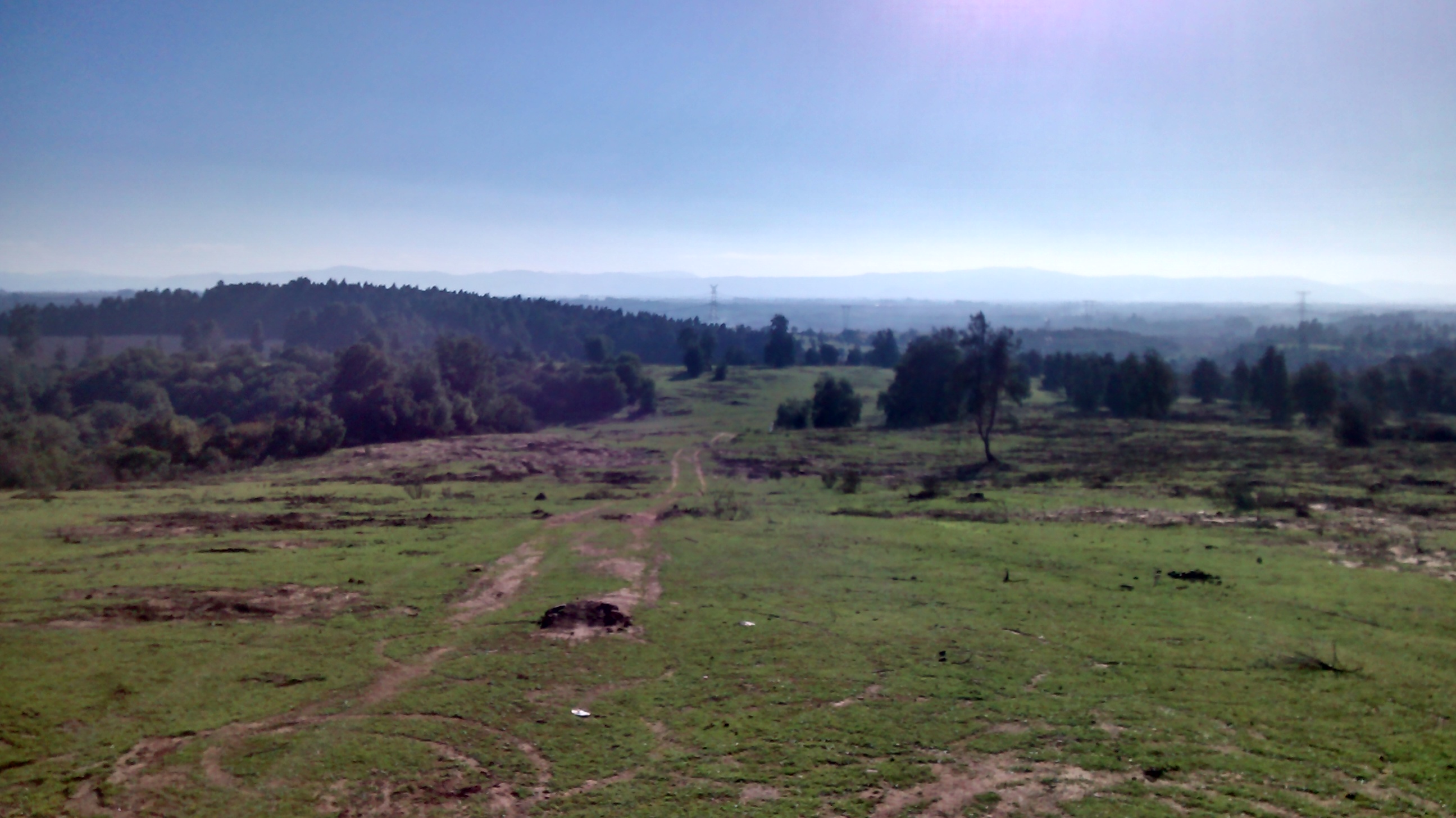 Traruñe (479 Há)