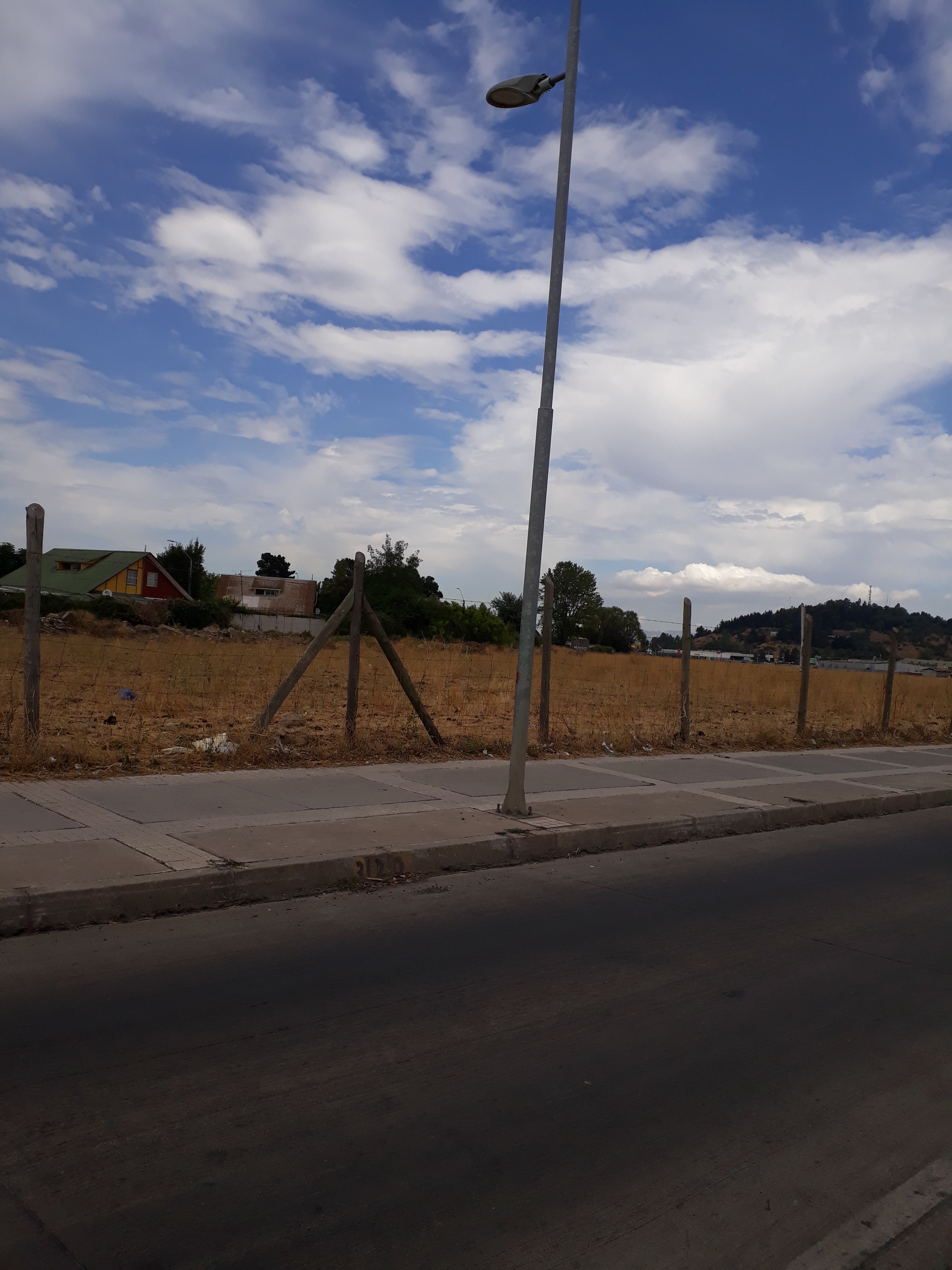 Av. Alessandri (8,5 Há)