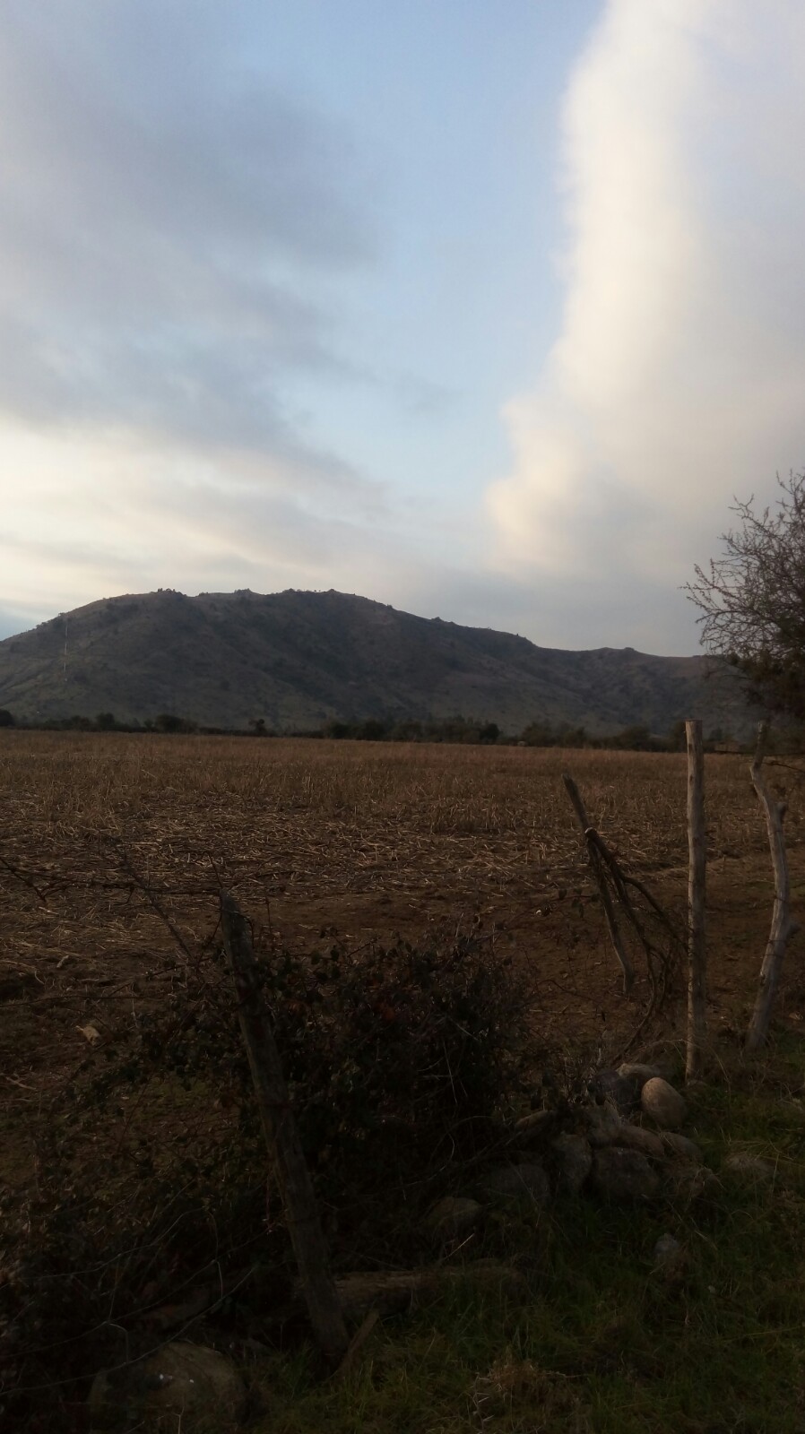 La Huerta (22 Há)
