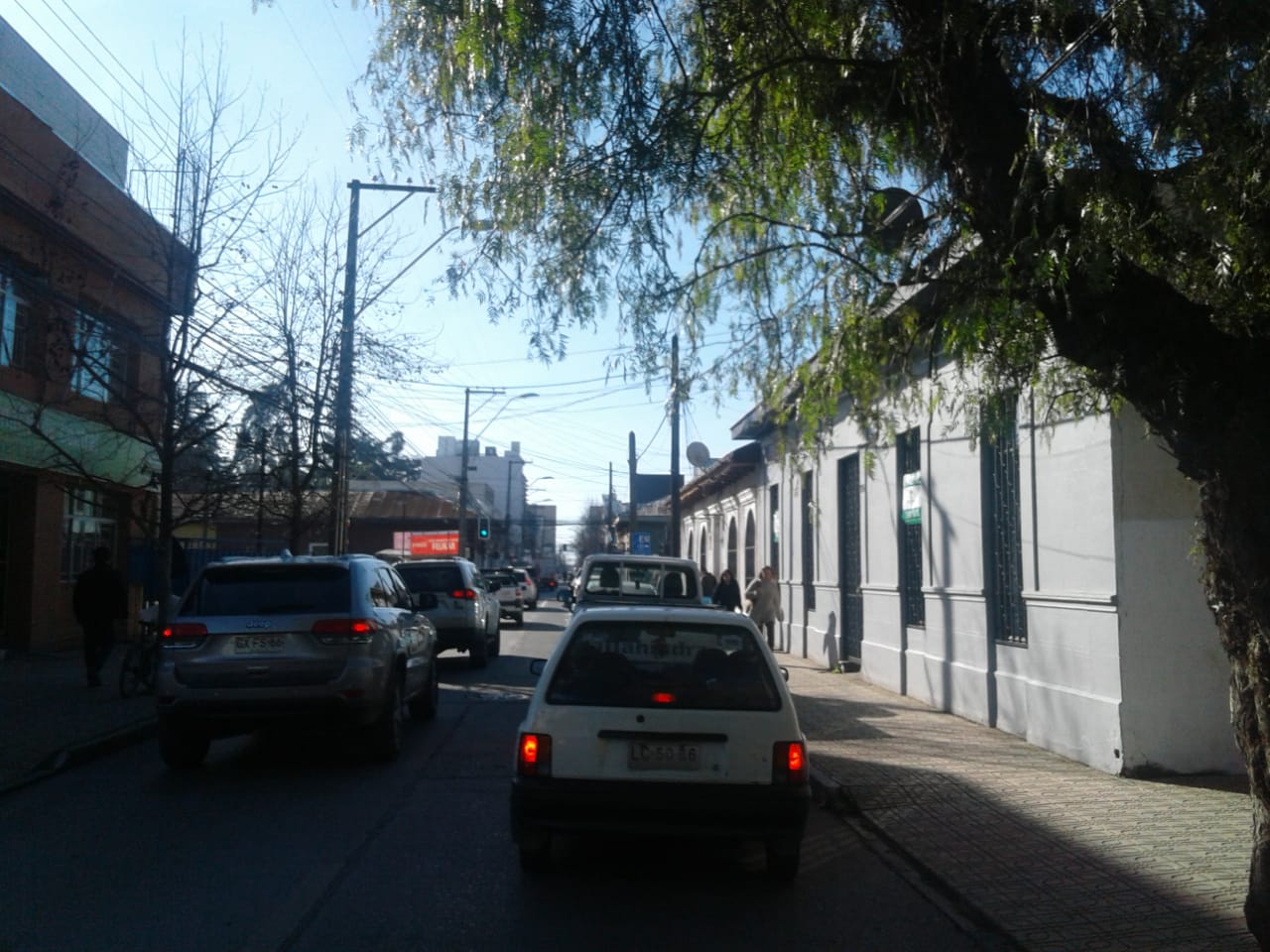 Carmen 354
