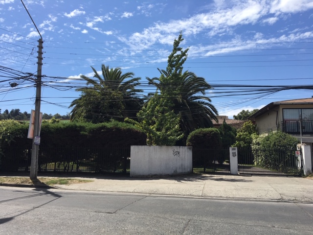 Av. España (2.800 m2)