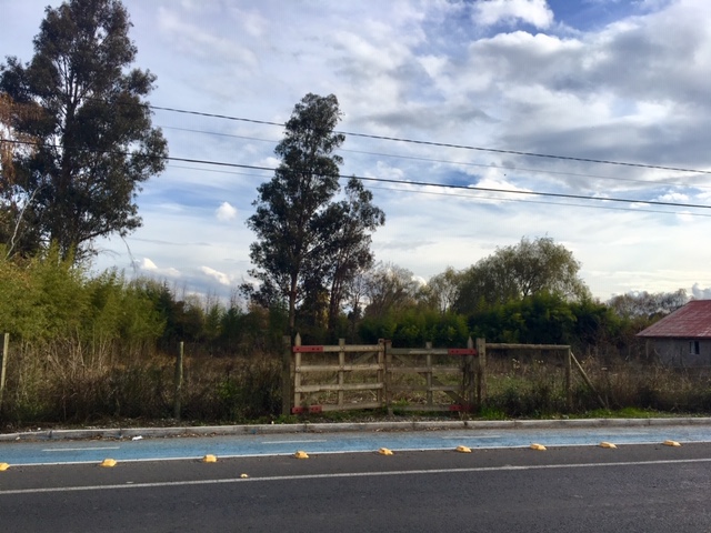 Camino a Zapallar km 1.3