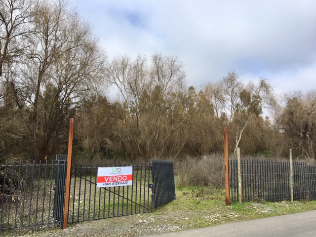 La Ballica (5.000 m2)