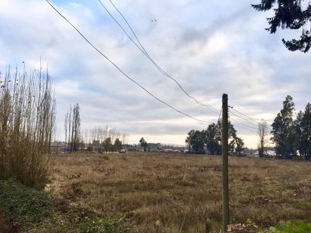 Ruta 5 (45.000 m2)