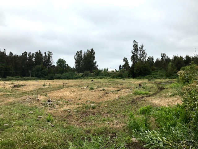 Romeral - (2,7 Ha)