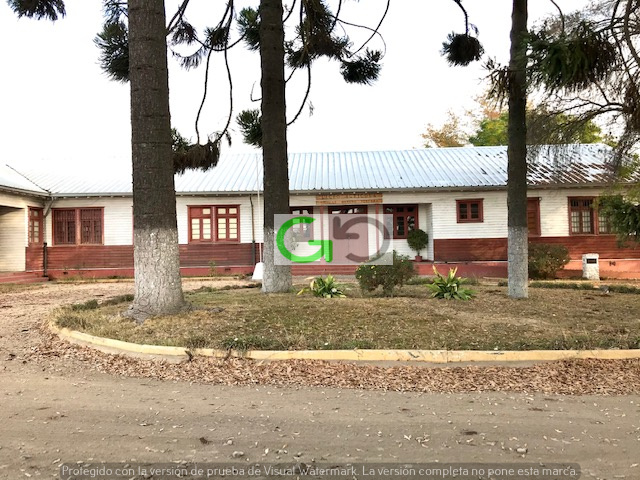 Romeral (104 Há)
